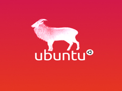 Ubuntu 14.04ֹapport󱨸洰ķ