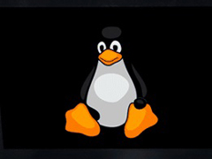 Linux豸2020ӭըʽ