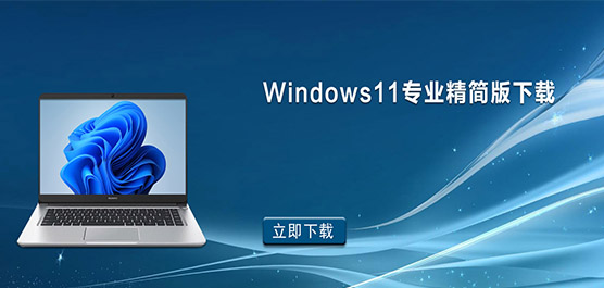 Win11最小精简版下载_Windows11专业精简版优化下载