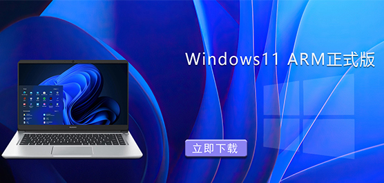 Windows11 armʽ