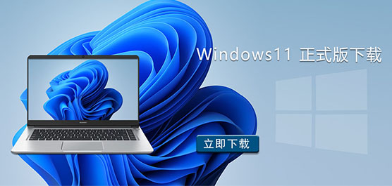 Windows11 ʽ-Windows11 ʽ澵