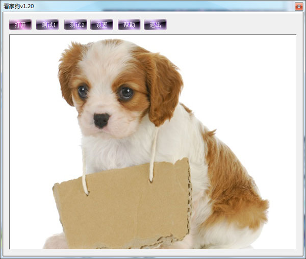 看家狗家庭安防软件 V1.20