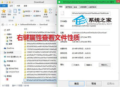 如何清理Win10应用商店下载的文件