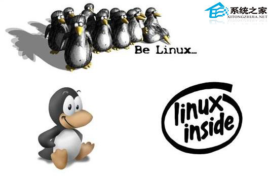  mkdir命令在Linux中的应用