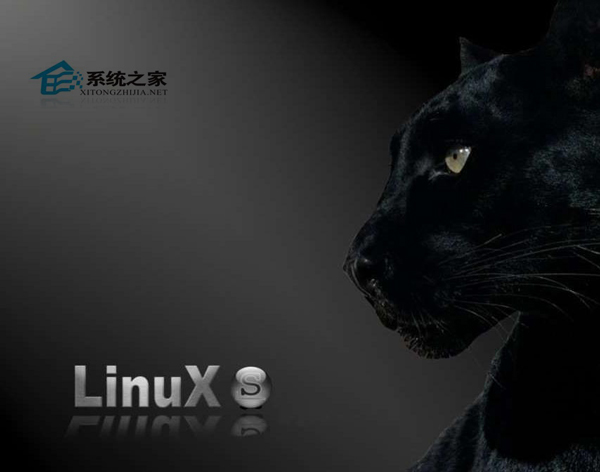  Linuxʹúȡnsʱ