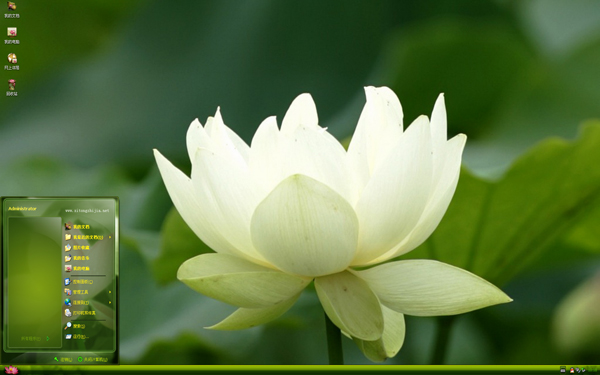 白色莲花xp主题 下载