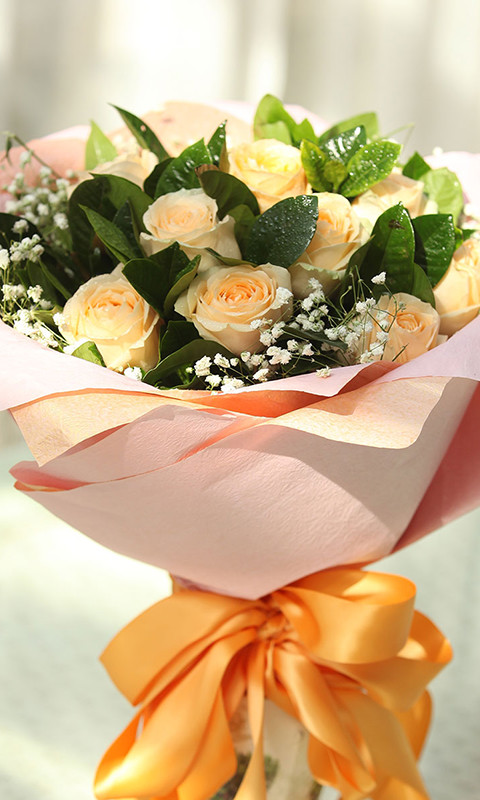 鲜花订购官方版下载v2.5.4.1111_鲜花订购安卓