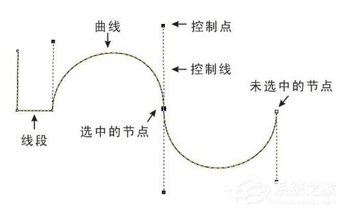 PS钢笔工具怎么用?PS钢笔工具使用技巧