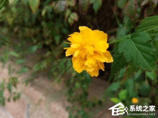 小米Note2体验评测:双曲面柔性屏不失端庄典雅之态