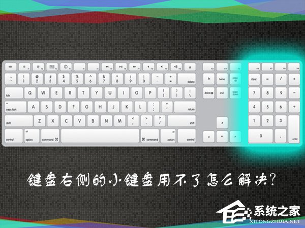 为什么数字键盘用不了?键盘右侧小键盘不能用怎么解决?