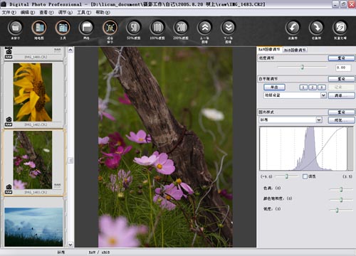 Digital Photo Professional(专业照片处理软件) V3.9.0.1 中文版