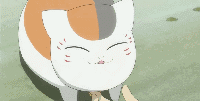 猫咪老师qq表情包 v1.