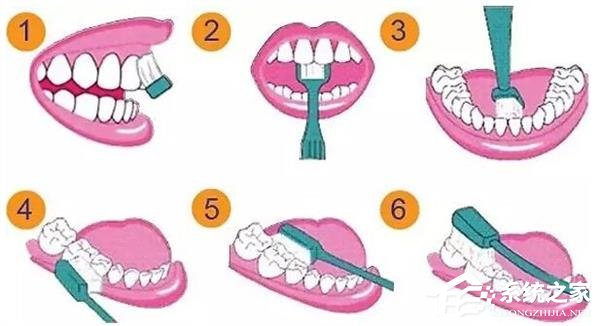 为什么用电动牙刷?这些优缺点你都知道吗? - 系统之家