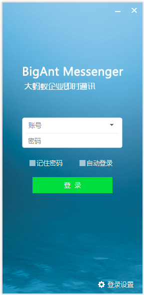 BigAnt(大蚂蚁) V5.0