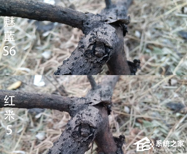 买魅蓝S6还是红米5?红米5和魅蓝S6全面对比评测