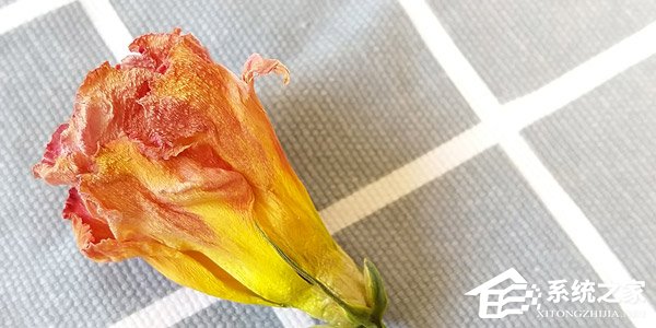 诺基亚7 Plus值得买吗?Nokia 7 Plus深度全面评