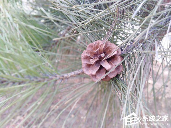 华为荣耀畅玩7C好不好?荣耀畅玩7C手机上手