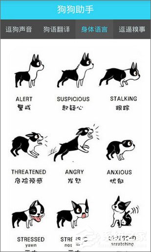 宠物翻译软件哪个好?2018宠物翻译软件推荐