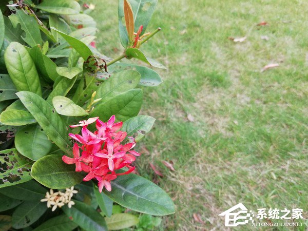 华为畅享8 Plus怎么样好用吗?华为畅享8 Plus体