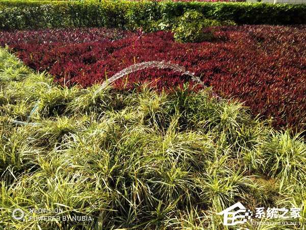 努比亚V18值得买吗?努比亚V18体验评测