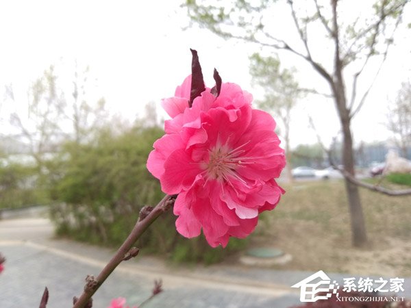 坚果3怎么样好用吗?锤子坚果3手机深度全面评