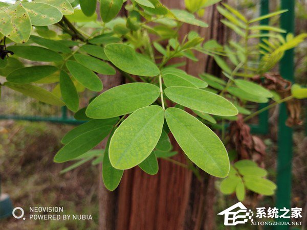 努比亚Z18mini怎么样好用吗?努比亚Z18mini深