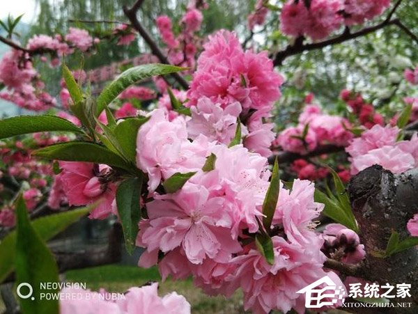 努比亚红魔电竞游戏手机好不好?努比亚红魔电