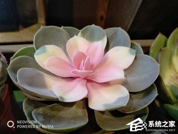 努比亚红魔电竞游戏手机好不好?努比亚红魔电