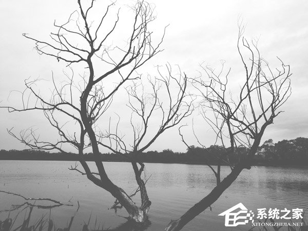 vivo X21屏幕指纹版怎么样好用吗?vivo X21屏