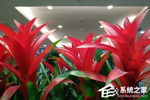 红魔游戏手机好不好?红魔游戏手机全面评测