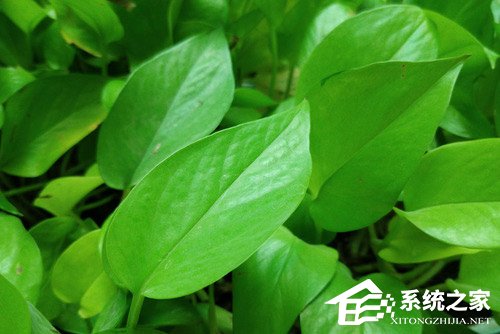 红魔游戏手机好不好?红魔游戏手机全面评测