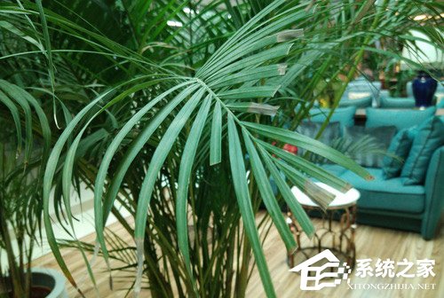 红魔游戏手机好不好?红魔游戏手机全面评测