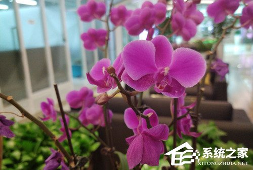 红魔游戏手机好不好?红魔游戏手机全面评测