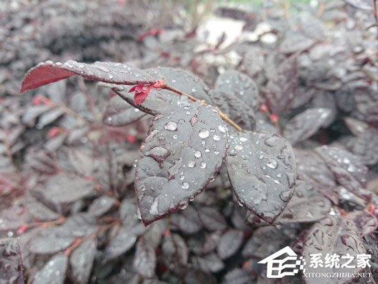 索尼Xperia XZ2怎么样?索尼Xperia XZ2手机体