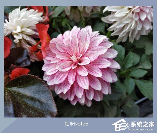 360 N7好不好?360 N7、魅蓝E3和红米Note 5