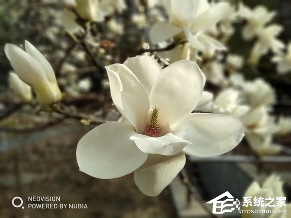 努比亚N3好不好?努比亚N3手机体验评测