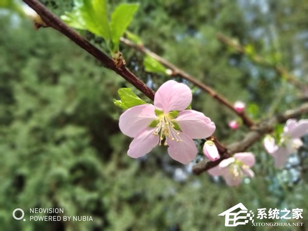 努比亚N3好不好?努比亚N3手机体验评测