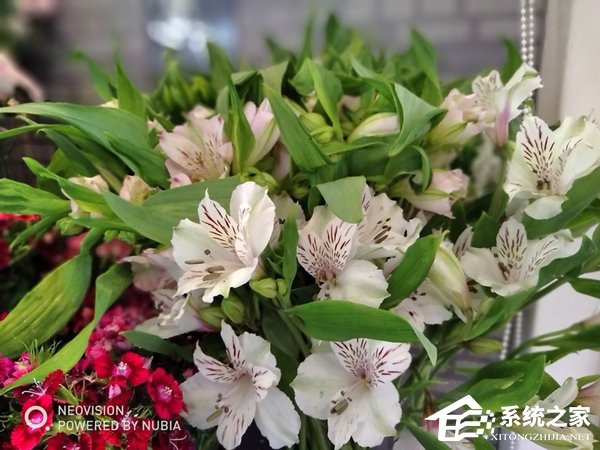 努比亚N3好不好?努比亚N3手机体验评测