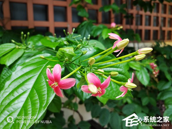 买魅族15还是努比亚Z18mini?努比亚Z18mini和