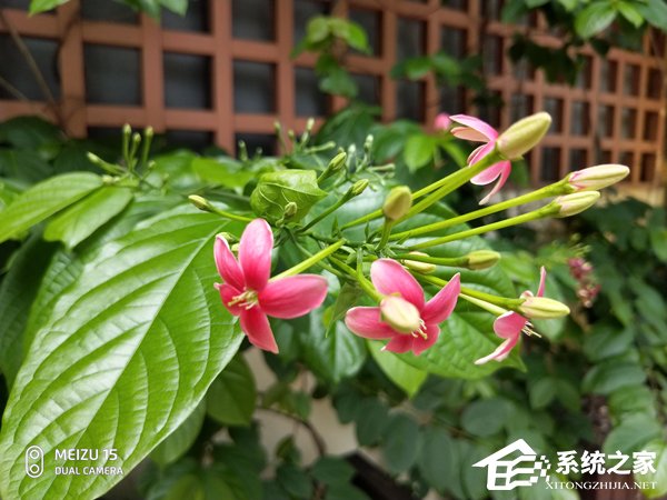 买魅族15还是努比亚Z18mini?努比亚Z18mini和