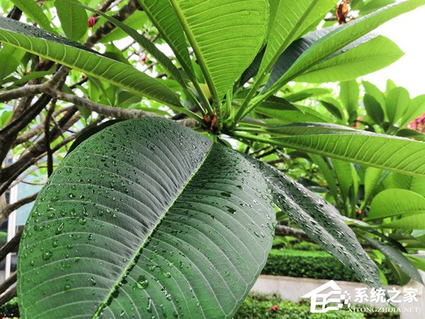 荣耀Play好不好?荣耀Play手机体验评测