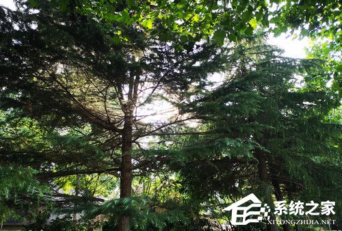 小米8和华为P20 Pro哪个好?华为P20 Pro和小