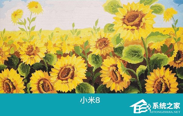 买荣耀Play还是小米8?小米8和荣耀Play对比评测