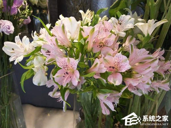 Galaxy S轻奢版怎么样?Galaxy S轻奢版手机评测