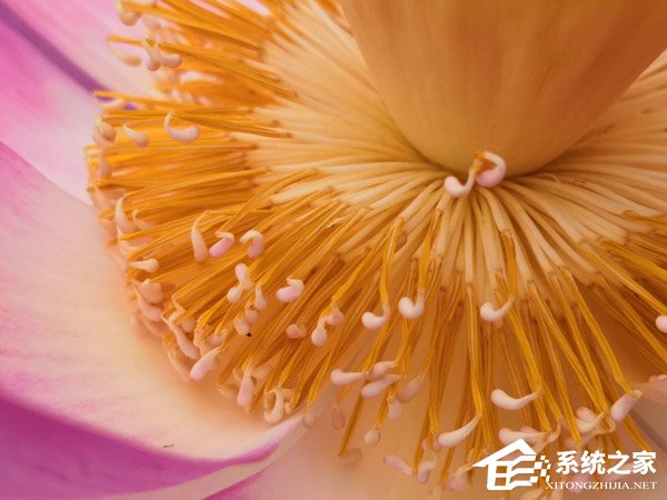 荣耀Note 10好不好?荣耀Note 10手机评测