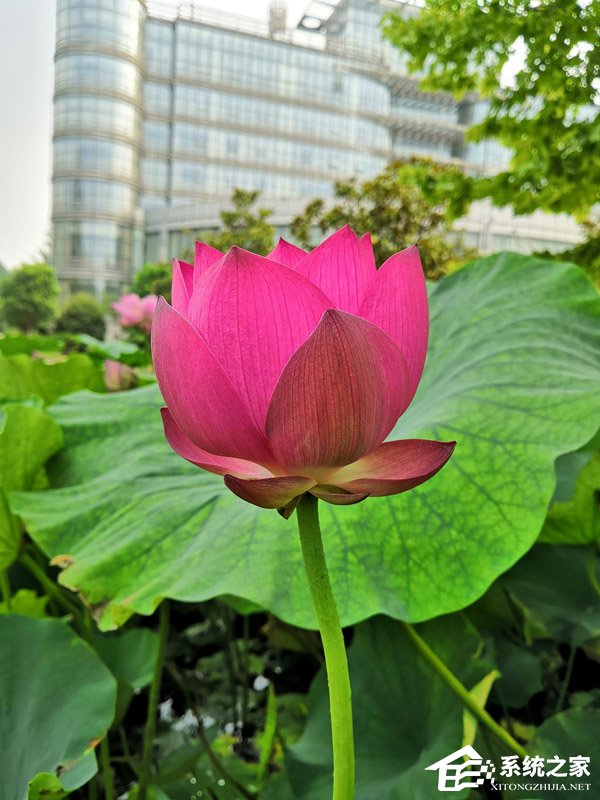 荣耀Note 10好不好?荣耀Note 10手机评测