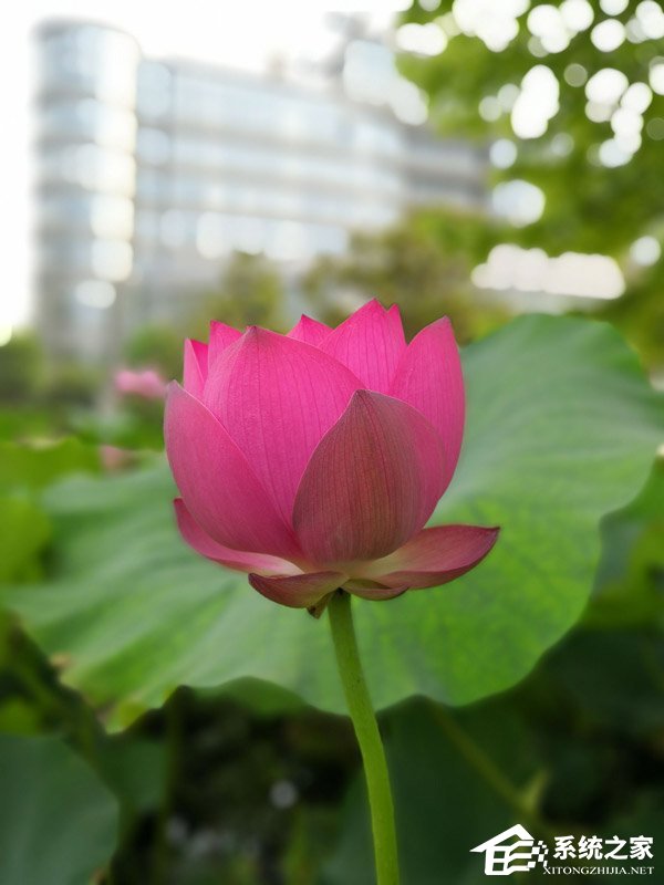 荣耀Note 10好不好?荣耀Note 10手机评测