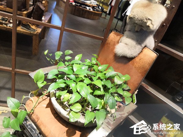 荣耀Note 10好用吗?荣耀Note 10深度全面评测