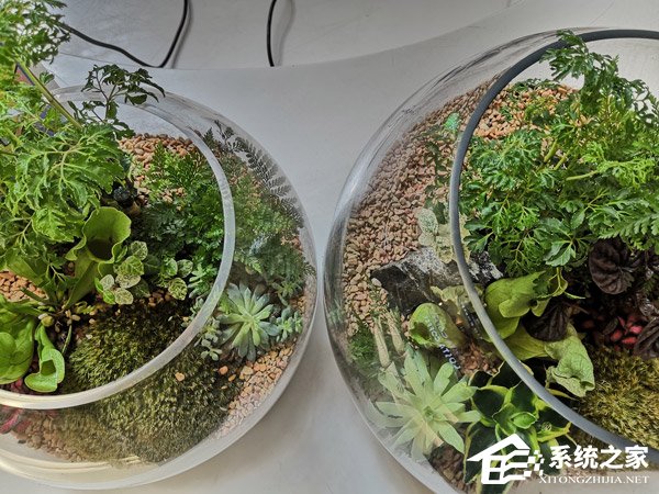 荣耀Note 10好用吗?荣耀Note 10深度全面评测