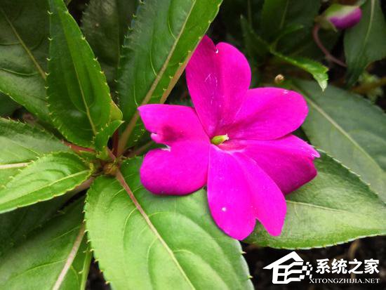 荣耀Note 10值不值得买?荣耀Note 10体验评测